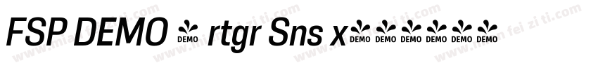 FSP DEMO - rtgr Sns x字体转换